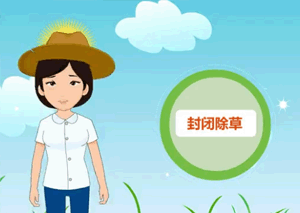 flash動畫案例