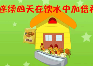 flash動(dòng)畫(huà)案例