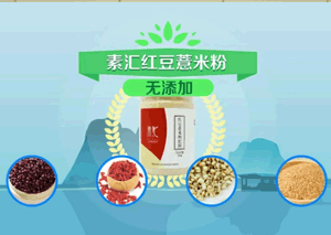flash動畫案例